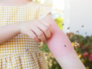 Alergia la mușcătura de țânțari – simptome, cauze și cum să acționezi corect