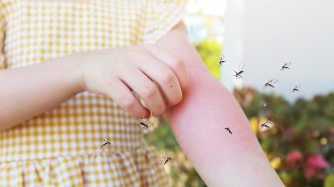 Alergia la mușcătura de țânțari – simptome, cauze și cum să acționezi corect Alergia la mușcătura de țânțari – simptome, cauze și cum să acționezi corect