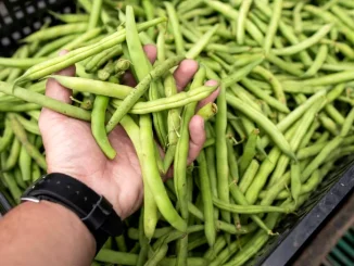 Alimente simple care te pot ajuta să trăiești mai mult. „Adevăratul secret al longevității”, spune un medic britanic