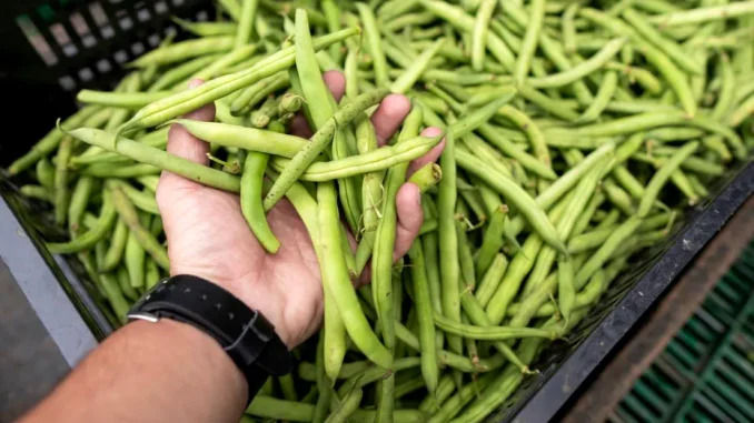 Alimente simple care te pot ajuta să trăiești mai mult. „Adevăratul secret al longevității”, spune un medic britanic