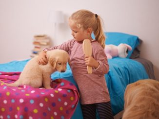 6 avantaje surprinzătoare pe care le aduc animalele de companie copiilor