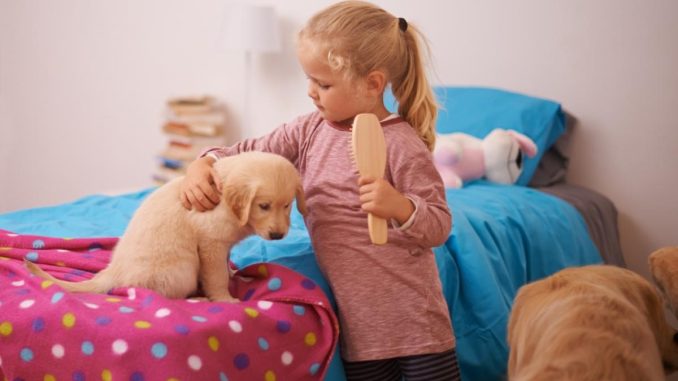 6 avantaje surprinzătoare pe care le aduc animalele de companie copiilor