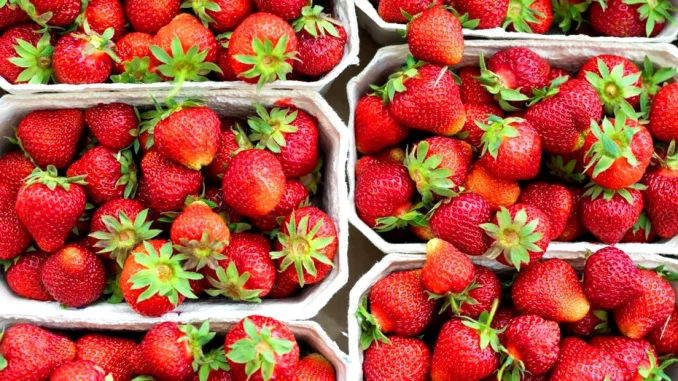 Rețetă de cocktail cu vodka și căpșuni pe care toți invitații o vor iubi — simplu de preparat acasă