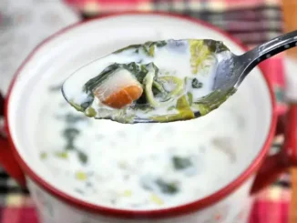 Rețetă simplă de ciorbă cu lapte — gust tradițional pentru revigorarea organismului