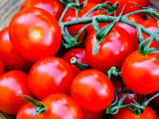 Spălatul roșiilor doar cu apă nu este suficient: metoda care ajută la eliminarea pesticidelor