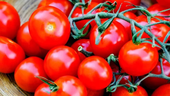 Spălatul roșiilor doar cu apă nu este suficient: metoda care ajută la eliminarea pesticidelor