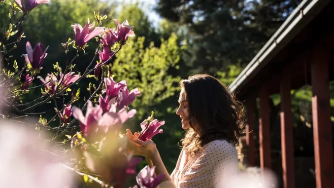 Copacul pe care să-l plantezi în aprilie pentru noroc și prosperitate, potrivit tradițiilor